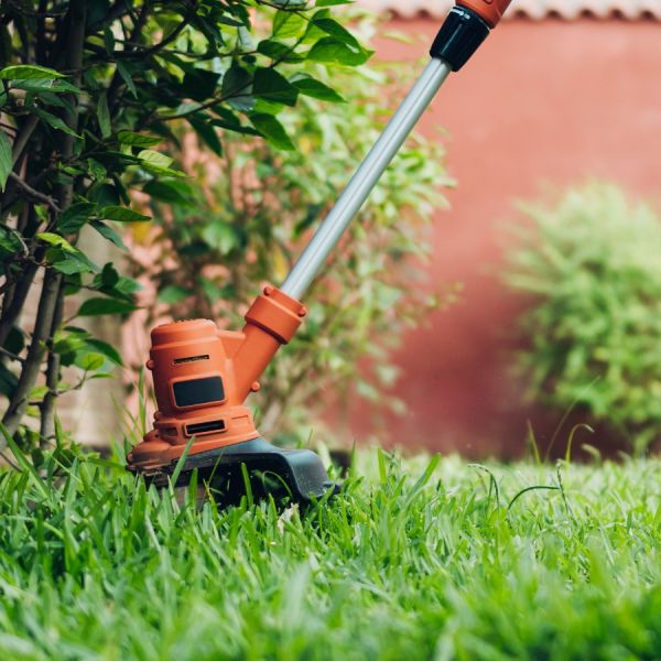 Що краще: тример чи мотокоса? Порівняння інструментів для догляду за садом