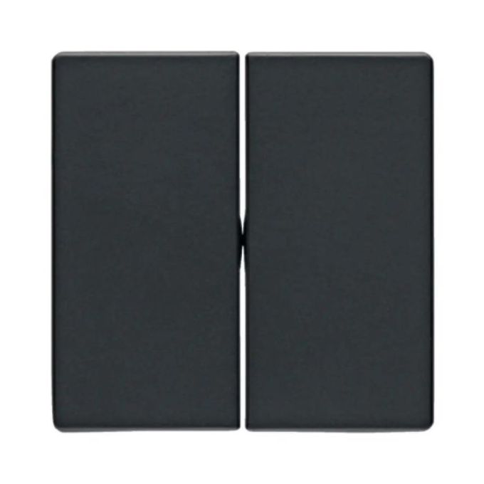 Клавіши для 2-клавішних вимикачів, антрацит, Q.1/Q.3