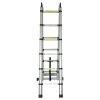 Лестница телескопическая универсальная 12 ступенек 3.8м FLORA (5033414)