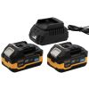 Набір акумуляторів та зарядного пристрою Procraft PBC-set2 (20/4 акб та зп)